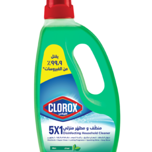 Clorox 5x1 700ml Mint